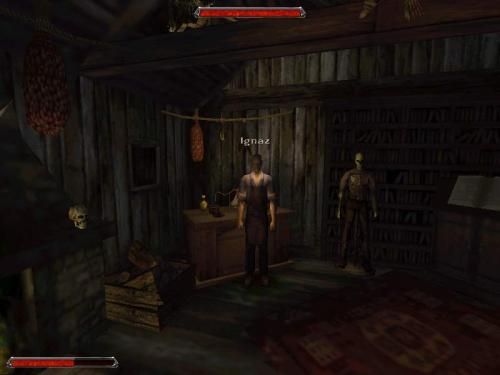 Gothic 2 000258,4